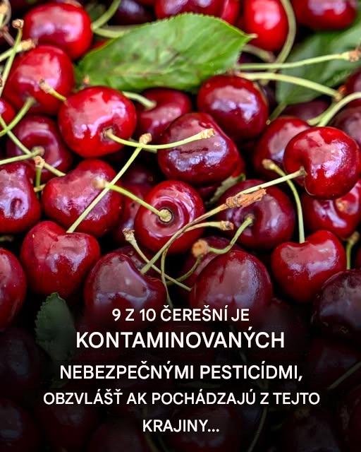 Čerešne pod dohľadom: letné potešenie poznačené prítomnosťou toxických látok