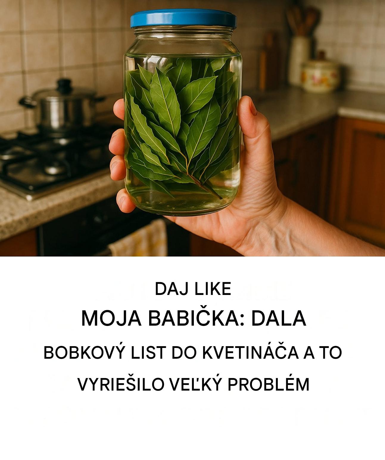 Neočakávané výhody nálevu z bobkového listu