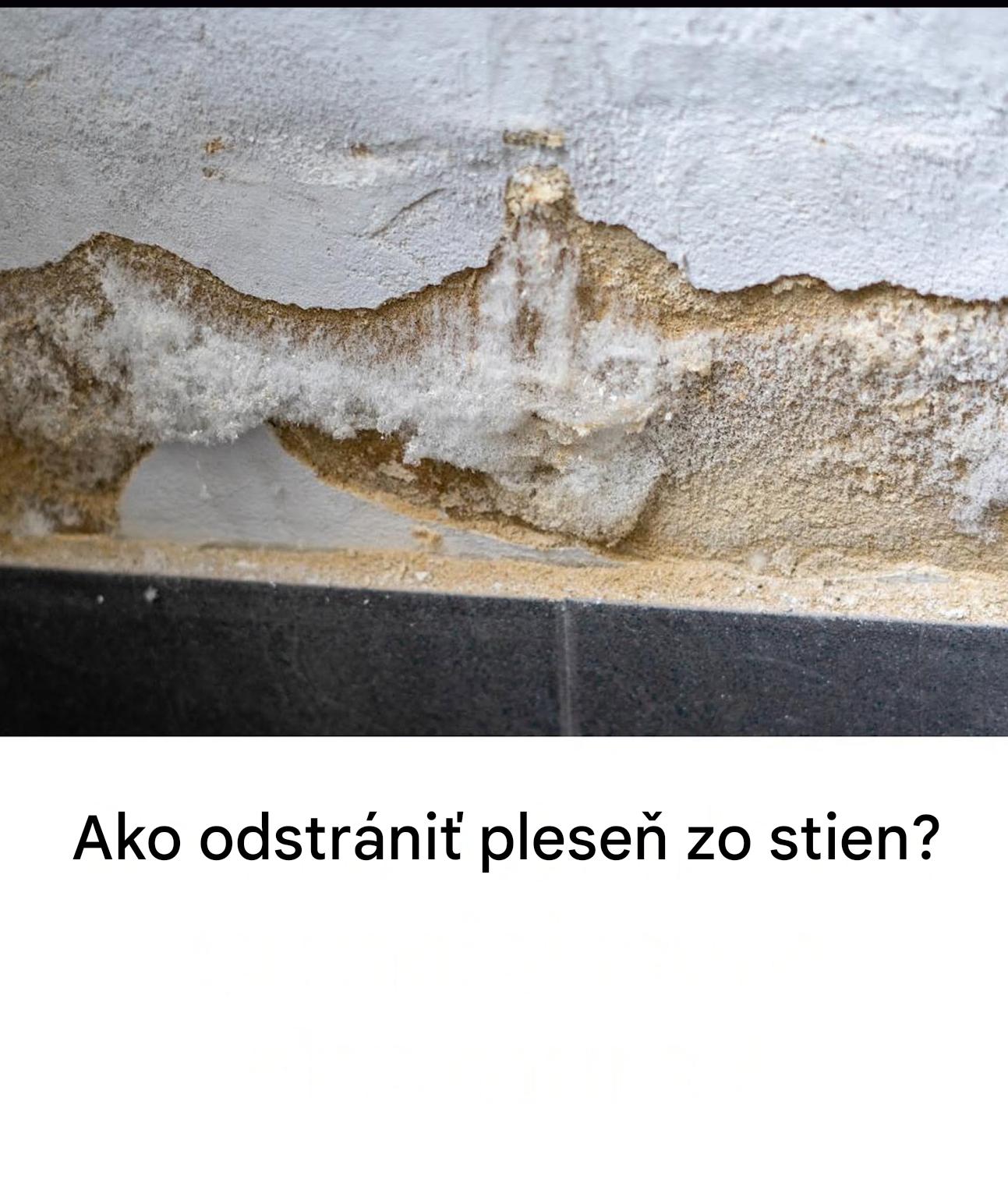 Biela pleseň na stenách: prečo sa tvorí a ako sa jej zbaviť
