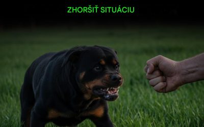 8 život zachraňujúcich gest na upokojenie psa v stresovej situácii