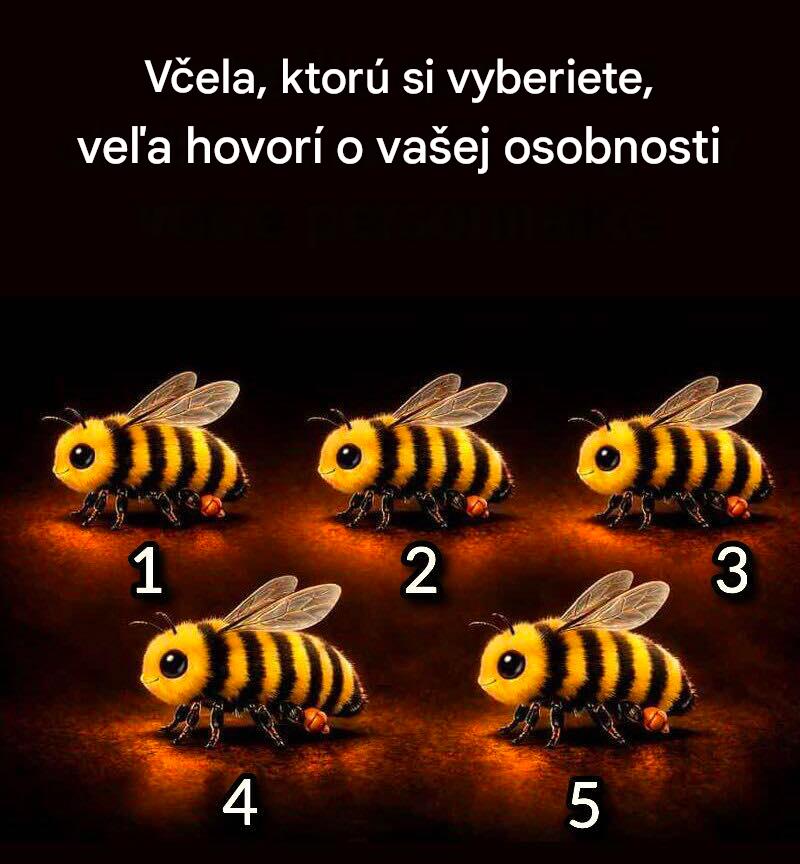 Včela, ktorú si vyberiete, veľa hovorí o vašej osobnosti