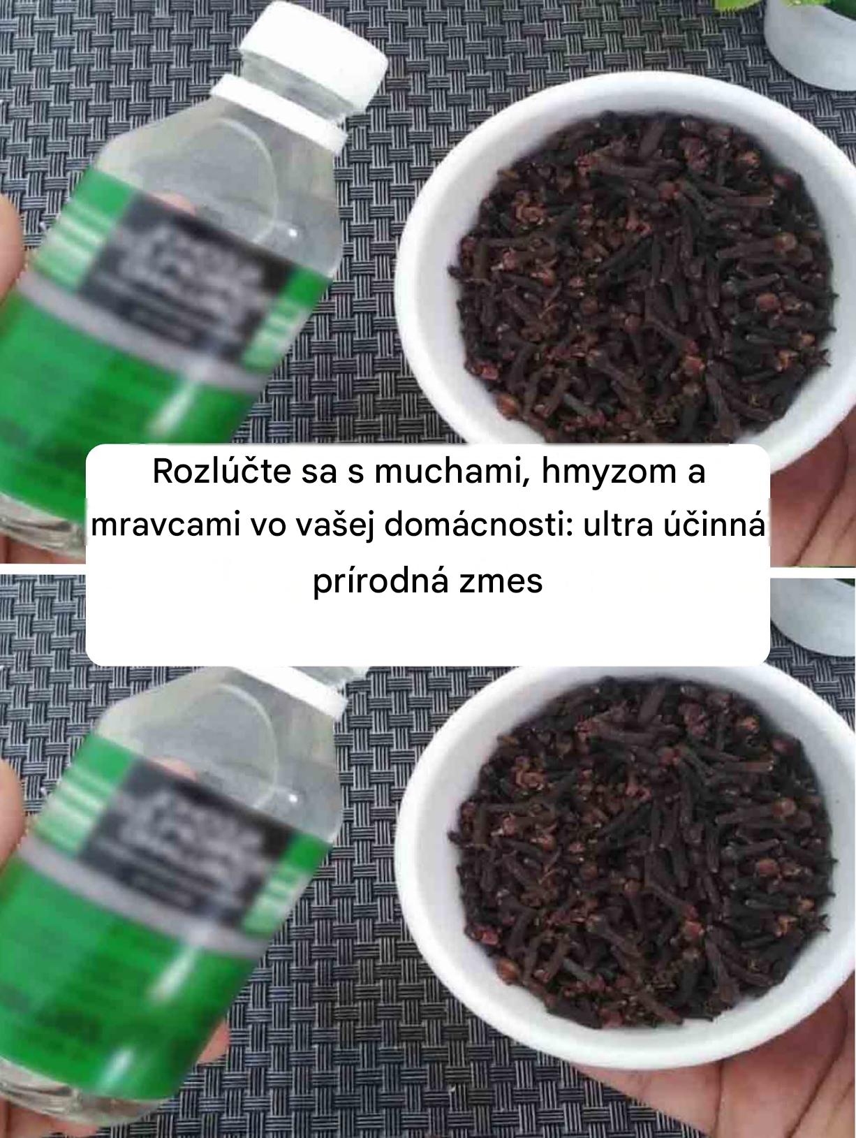 Rozlúčte sa s muchami, hmyzom a mravcami vo vašej domácnosti: ultra účinná prírodná zmes