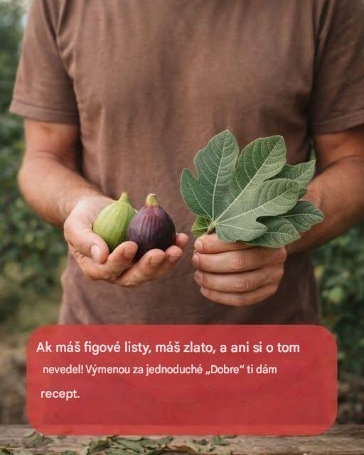 Sila figových listov: Skryté výhody týchto listov