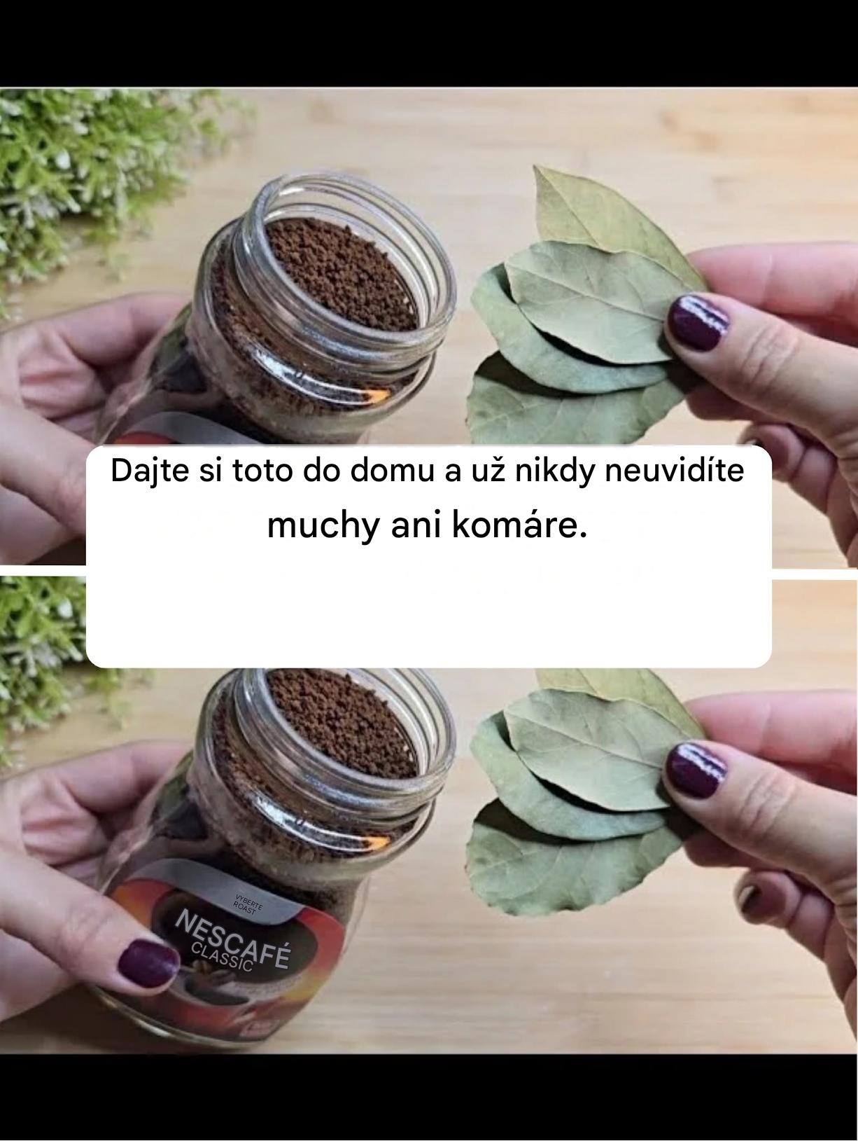 Dajte si toto do domu a už nikdy neuvidíte muchy ani komáre.