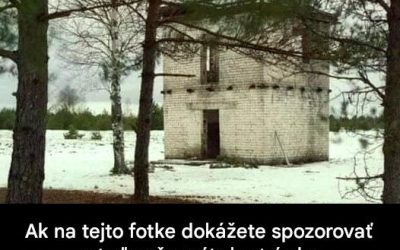 Ak na tejto fotke dokážete spozorovať ostreľovača, máte bystré oko.
