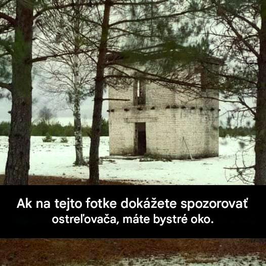 Ak na tejto fotke dokážete spozorovať ostreľovača, máte bystré oko.