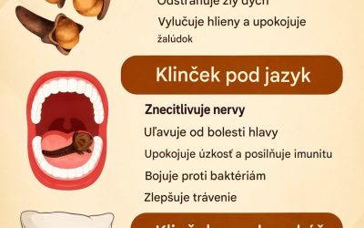 🌿 Sila klinčekov v každodennej starostlivosti