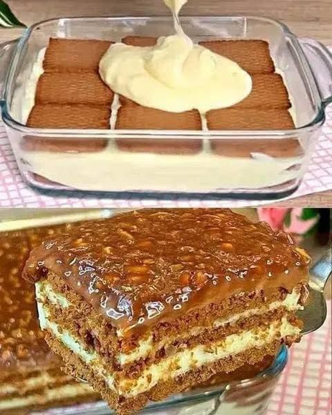 SUŠIENKOVÝ KOLÁČ BEZ PEČENIA