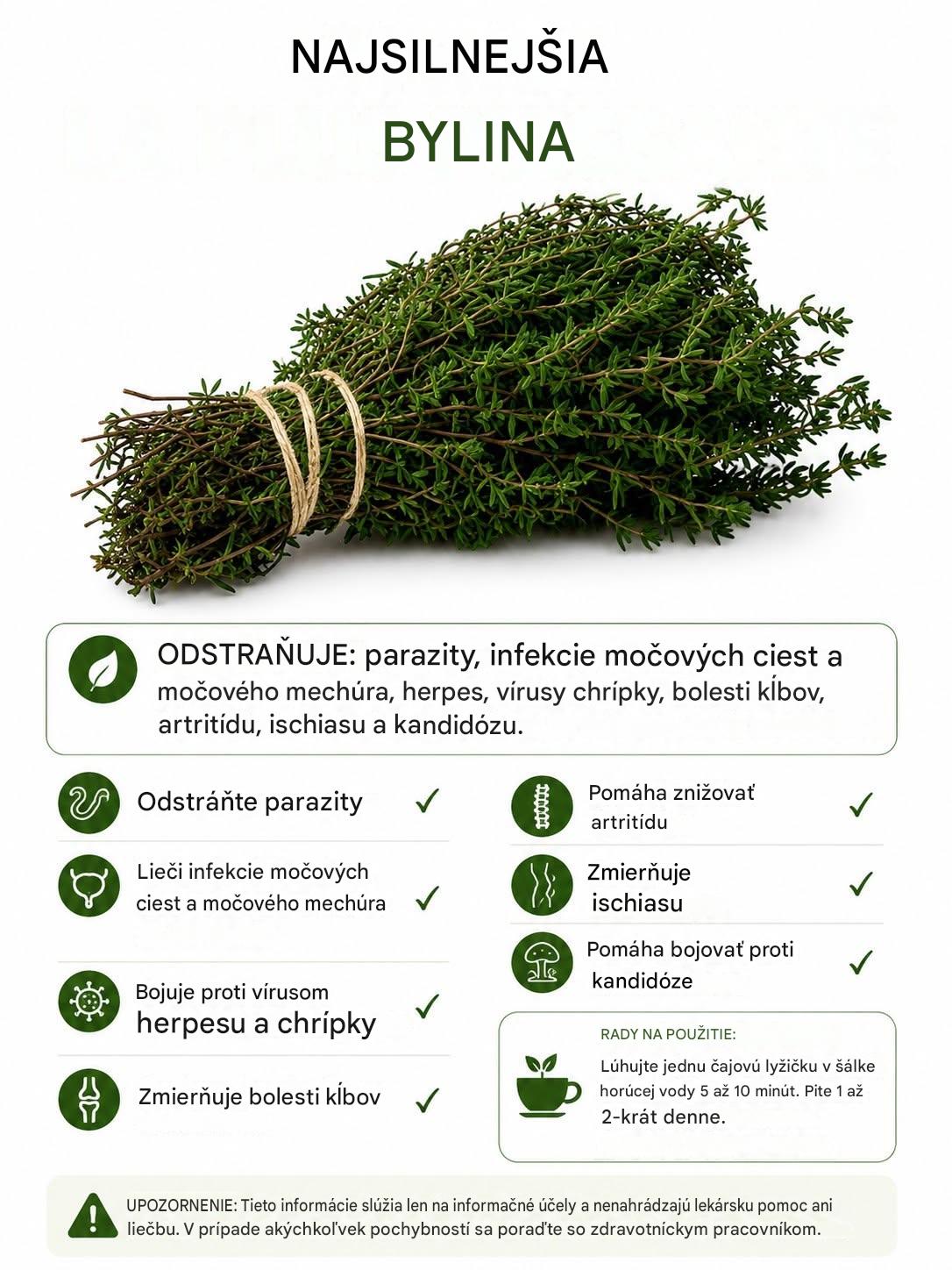 Tymian: Aromatická rastlina s mnohými vlastnosťami
