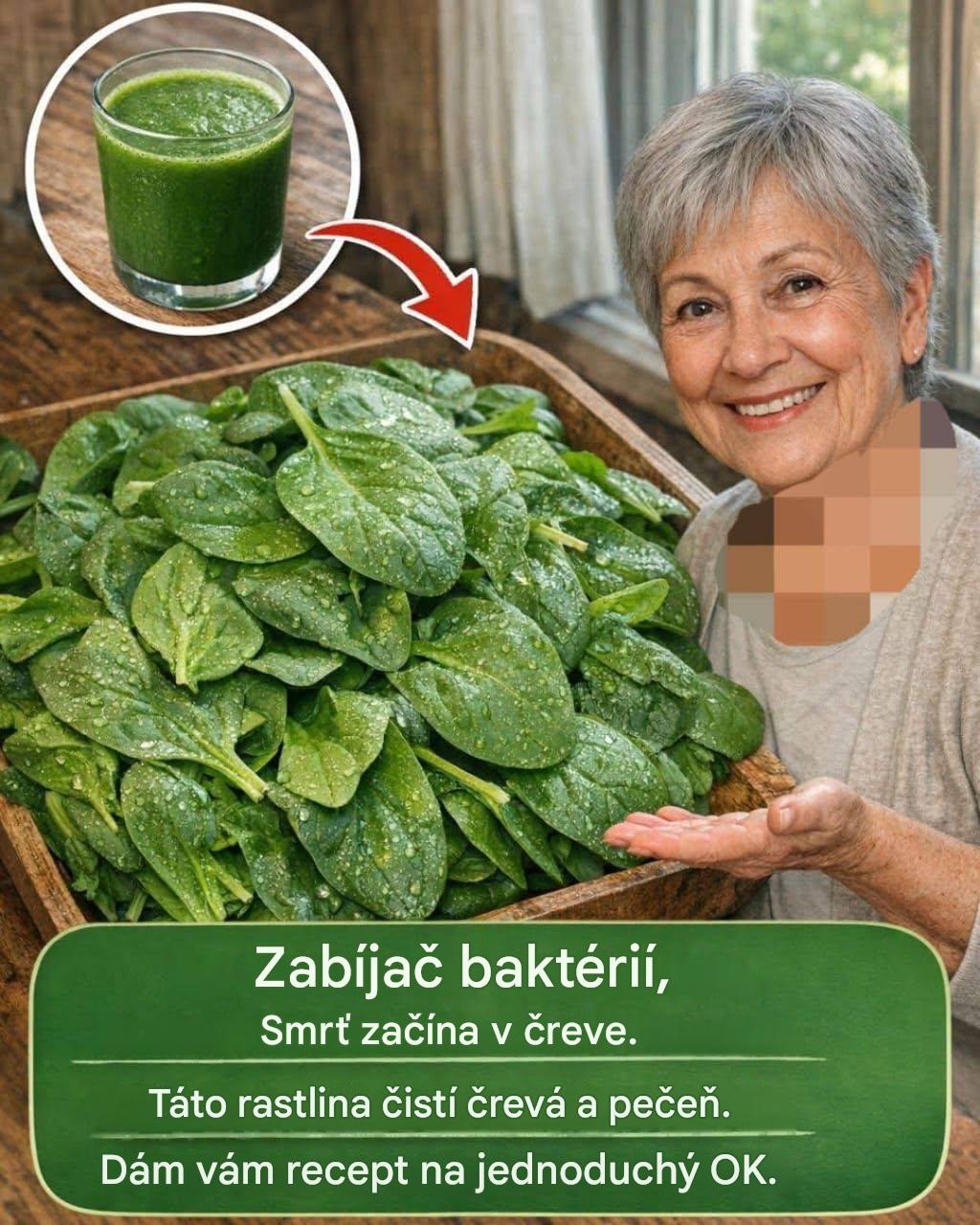 Zabijak baktérií: smrť začína v črevách. Táto rastlina čistí črevá a pečeň. Dám vám recept na jednoduchý postup.