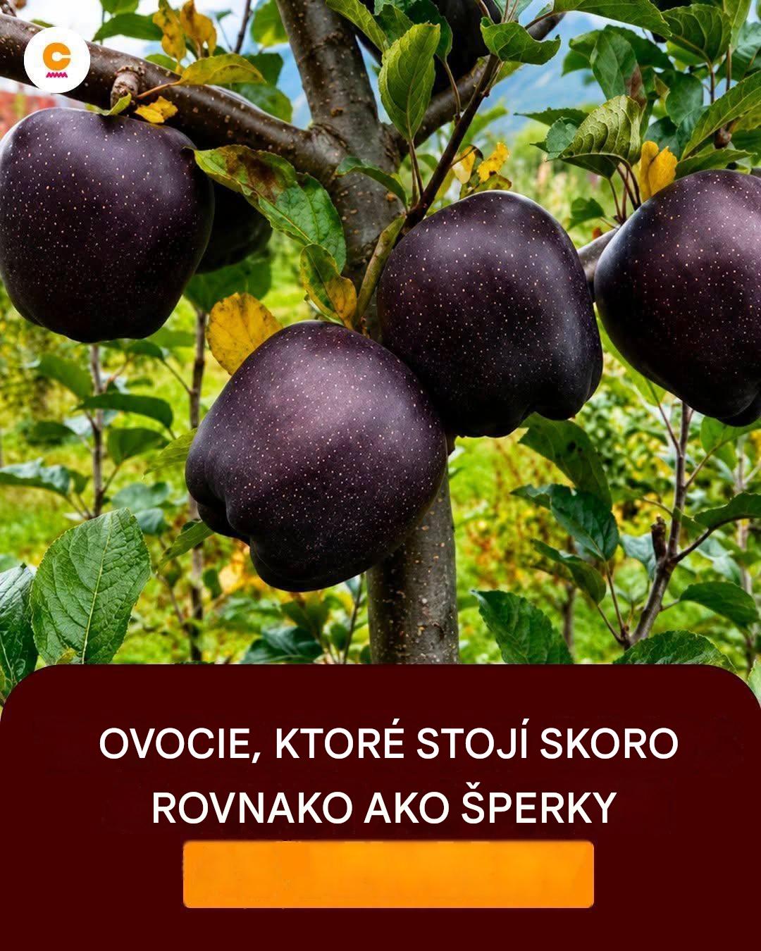 Čo je to jablko Black Diamond, najdrahšie a najvzácnejšie jablko na svete?