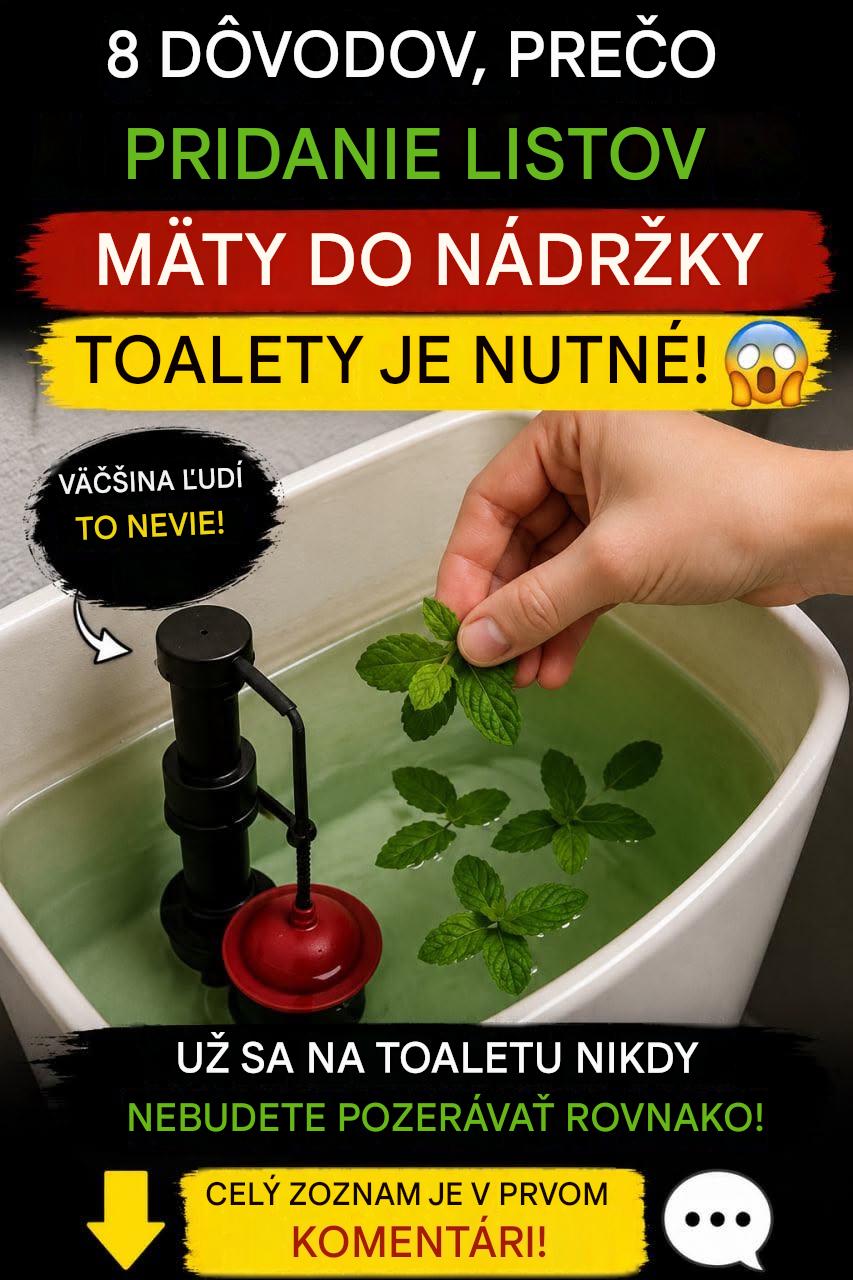 8 dôvodov, prečo je pridanie lístkov mäty do nádržky toalety nevyhnutnosťou