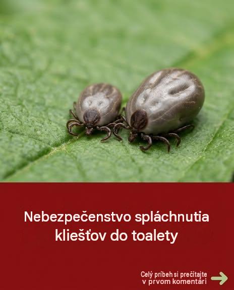 Tieto drobné parazity, ktoré číhajú: kompletný sprievodca, ako sa ich zbaviť a chrániť sa pred nimi