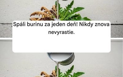 Spáli burinu za jeden deň! Nikdy znova nevyrastie.