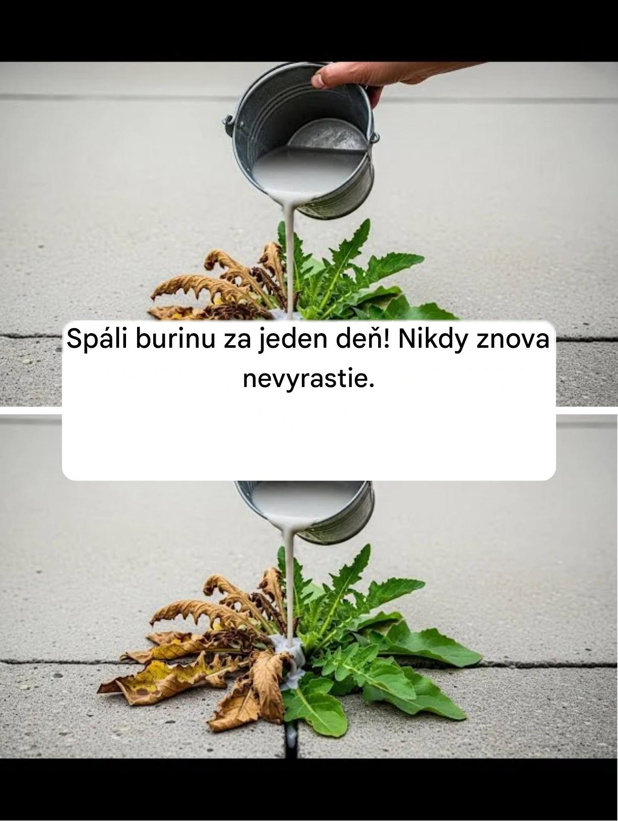 Spáli burinu za jeden deň! Nikdy znova nevyrastie.