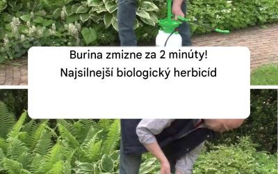 Burina zmizne za 2 minúty! Najsilnejší biologický herbicíd
