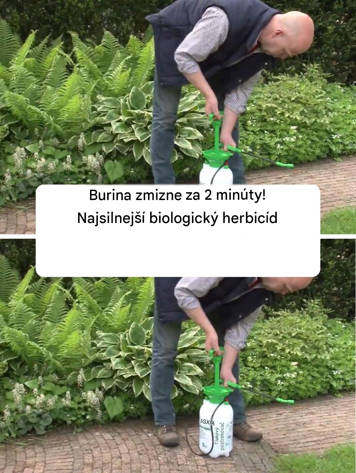 Burina zmizne za 2 minúty! Najsilnejší biologický herbicíd