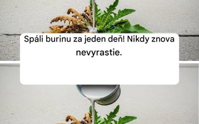 Spáli burinu za jeden deň! Nikdy znova nevyrastie.