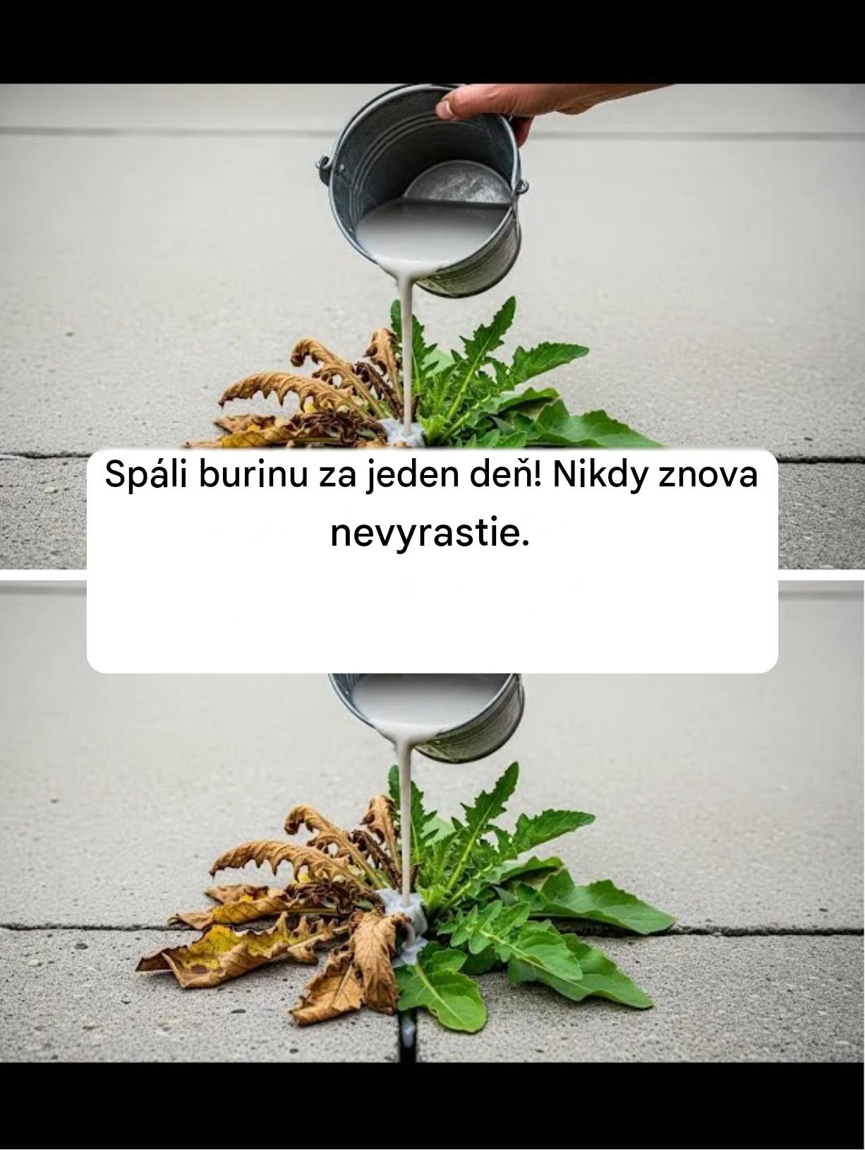 Spáli burinu za jeden deň! Nikdy znova nevyrastie.