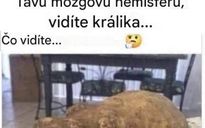 Magická zemiaková ilúzia