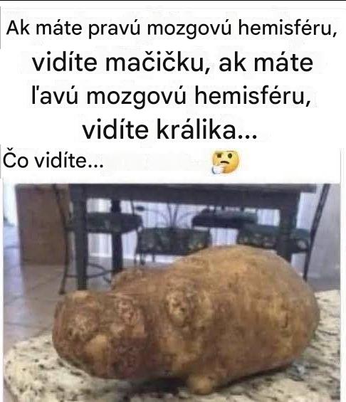 Magická zemiaková ilúzia