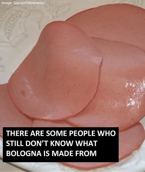 🥪Z čoho sa bolonská klobása skutočne vyrába? Pravda o tomto obľúbenom obedovom mäse vás možno prekvapí…