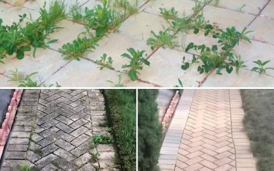 Ako sa zbaviť burín prirodzene a trvalo