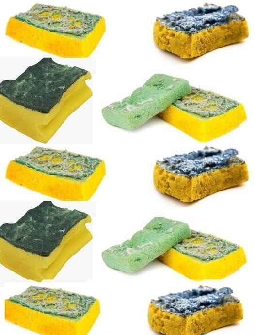 Nevyhadzujte staré špongie