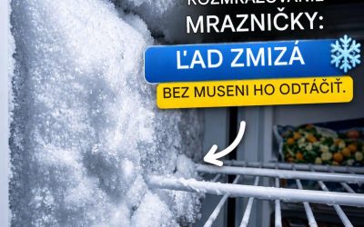 Rozmrazte si mrazničku bez elektriny pomocou účinného a prírodného domáceho spreja