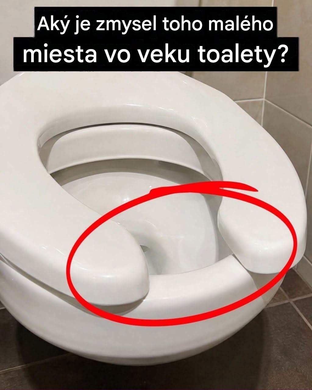 Premýšľali ste niekedy nad tým, prečo majú verejné toalety záchody v tvare U?
