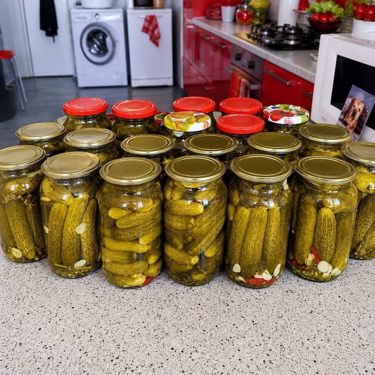 Pamätajte si tento recept celú sezónu: Najlepší recept na nakladané uhorky bez nálevu, už nehľadajte!