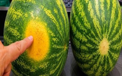 Celý čas ste kupovali nesprávne melóny! Tieto znaky prezrádzajú všetko