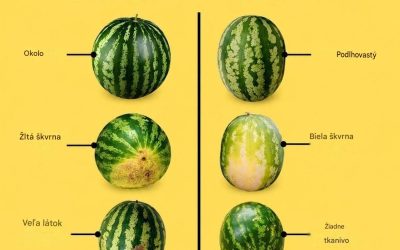 Ako si vždy vybrať NAJSLADKÝ melón