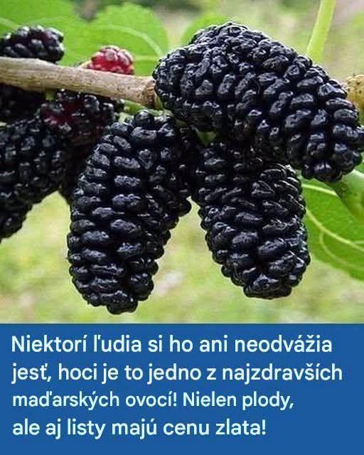 Používa sa tiež na prevenciu rakoviny, zmiernenie cukrovky a vysokého krvného tlaku! Kto