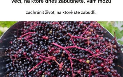 Všetky výhody a vlastnosti bazy čiernej