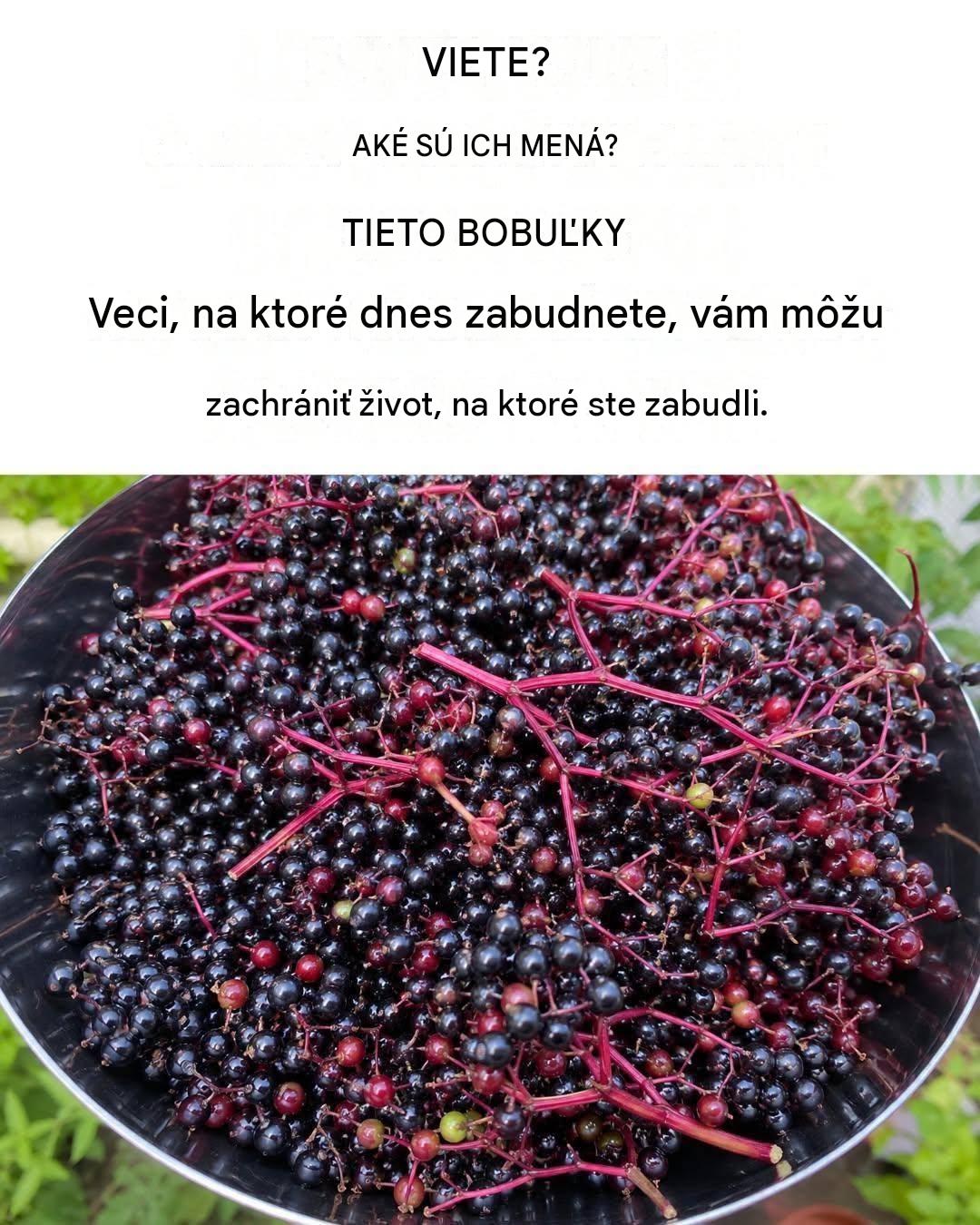 Všetky výhody a vlastnosti bazy čiernej