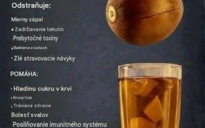 Čaj z avokádových semienok: Výhody, recept a čo by ste mali vedieť