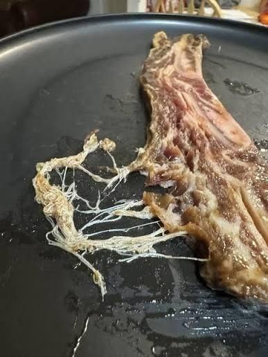 Vytiahol som hovädziu pečenku z pomalého hrnca a uvidel som tieto čudné biele vláknité veci trčať z mäsa. Vyzerali ako malé červy alebo parazity.