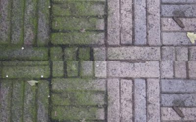 Zaplavuje vám burina záhradu? Tieto jednoduché tipy vám pomôžu ľahšie sa jej zbaviť…