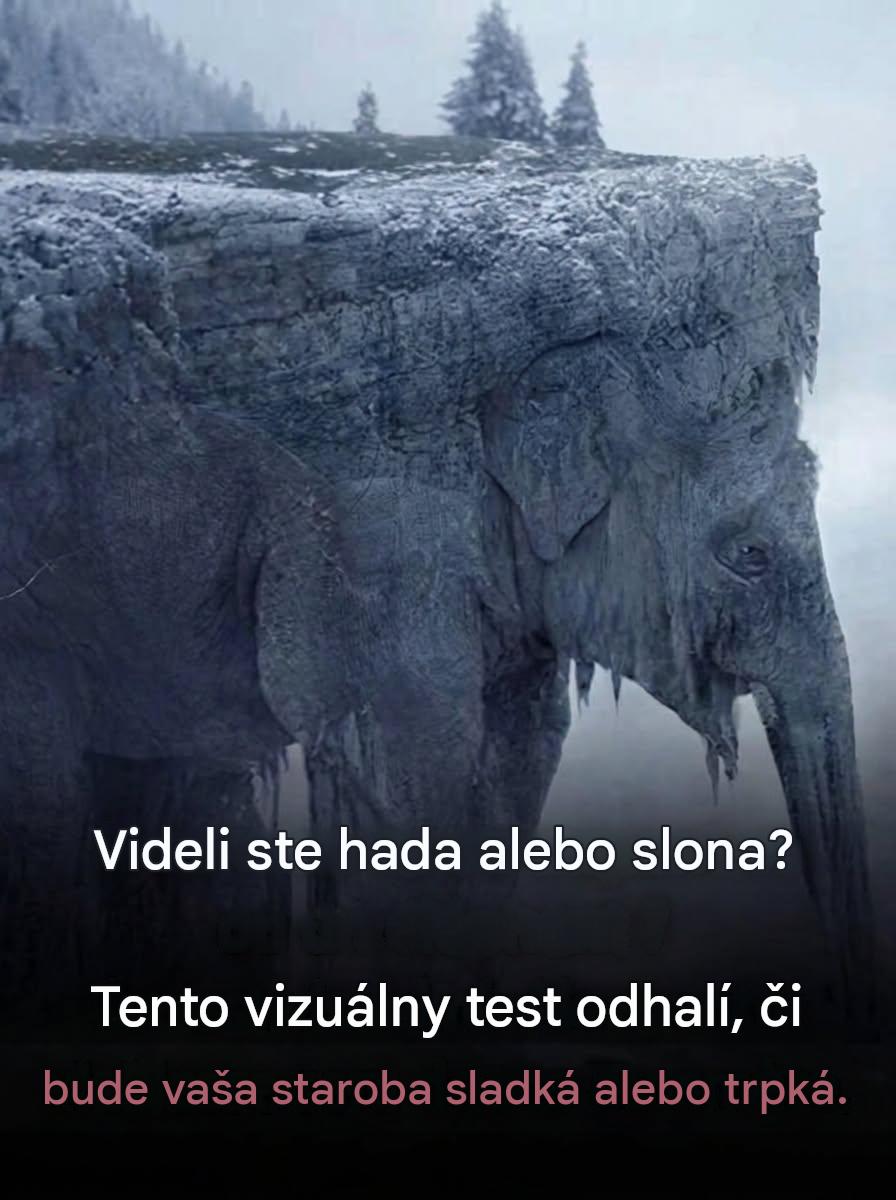 Had alebo slon: táto virálna optická ilúzia hovorí všetko o tom, ako vidíte budúcnosť