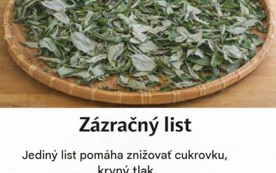 Zázračný list: tradičný pomocník pre zdravie tela