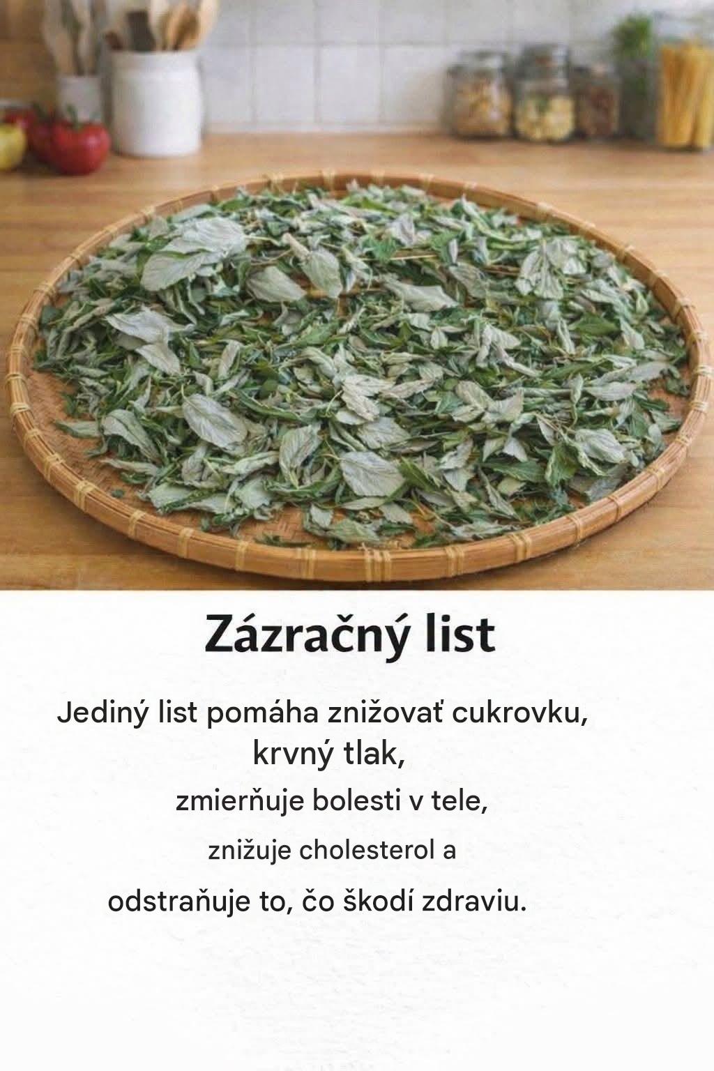 Zázračný list: tradičný pomocník pre zdravie tela