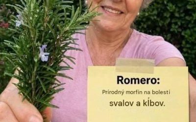 Rozmarín: prírodný liek na bolesti svalov a kĺbov. Celý recept a návod som uviedla v prvom komentári. Ak chcete aj naďalej dostávať moje prírodné recepty, zanechajte komentár… Ďakujem!