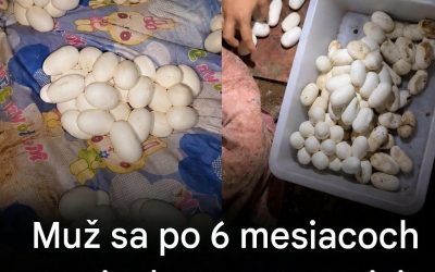 Po 6-mesačnej neprítomnosti našiel na svojej posteli viac ako 100 vajíčok: vysvetlenie odborníkov je fascinujúce.