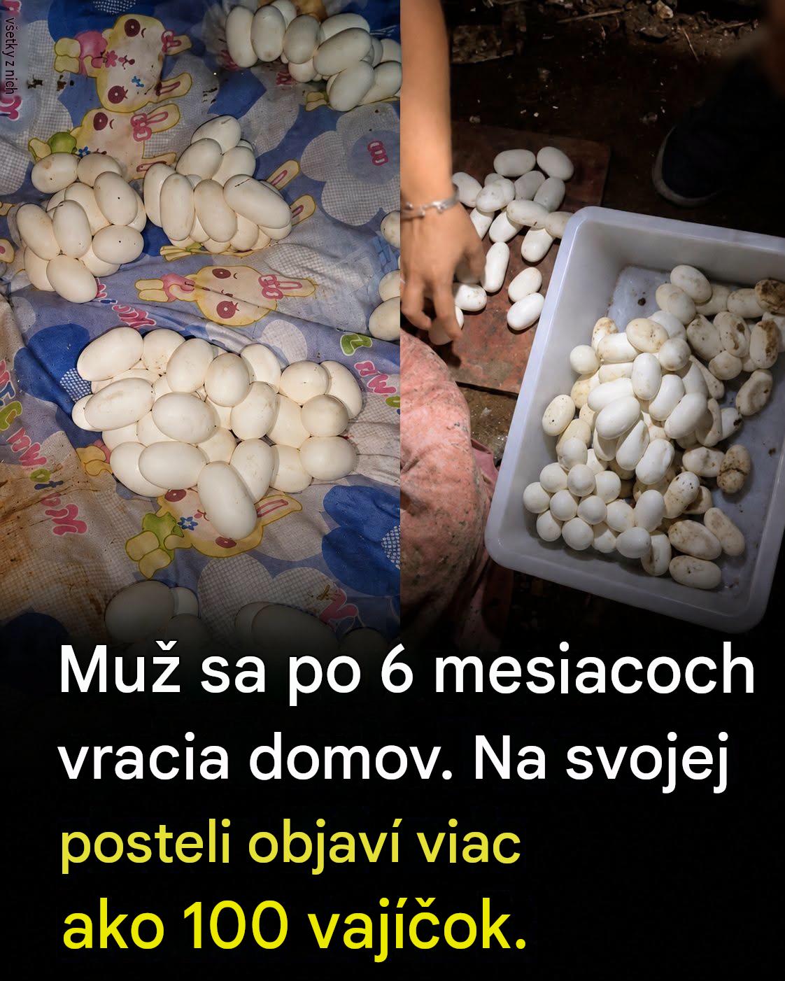 Po 6-mesačnej neprítomnosti našiel na svojej posteli viac ako 100 vajíčok: vysvetlenie odborníkov je fascinujúce.